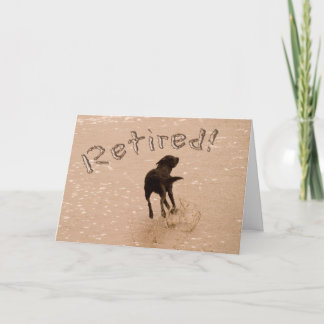 Retirement Announcement Beach Dog