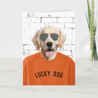 Retirement Golden Retriever