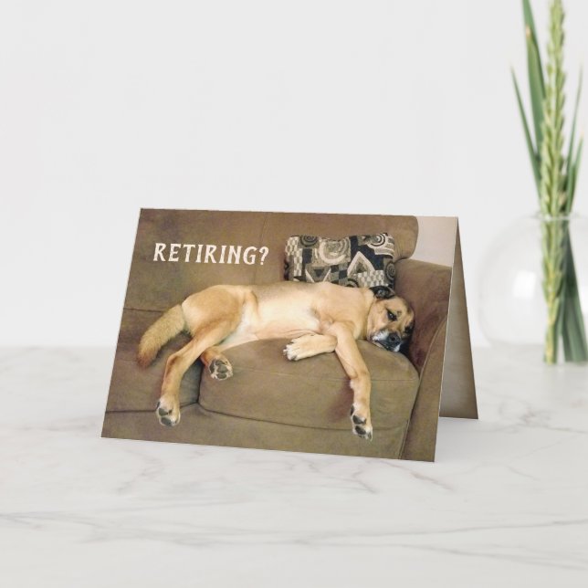 Retirement Hound Dog On Couch  Card (Front)