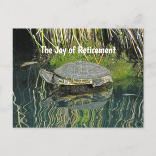 Retirement Turtle with Water Reflection Nature Postcard