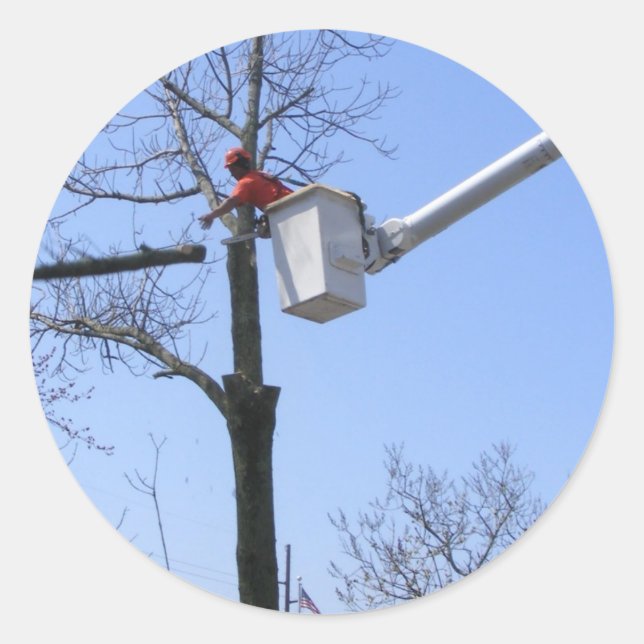 Retrait de l'arbre ~ autocollant (Devant)