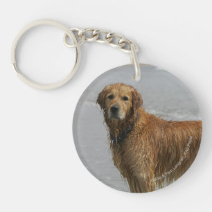 Retreiver d'or en mer