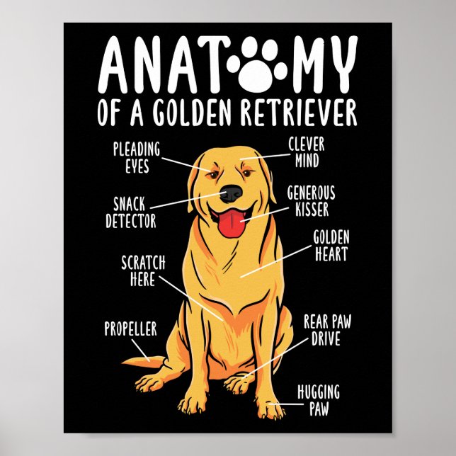 Retriever Dogs Anatomy of a Golden Retriever Mom Poster (Front)