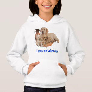 Retriever du Labrador