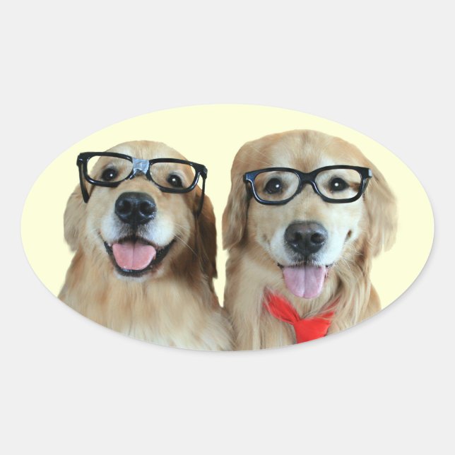 Retriever Or Avec Stickers Lunettes Nerd (Devant)