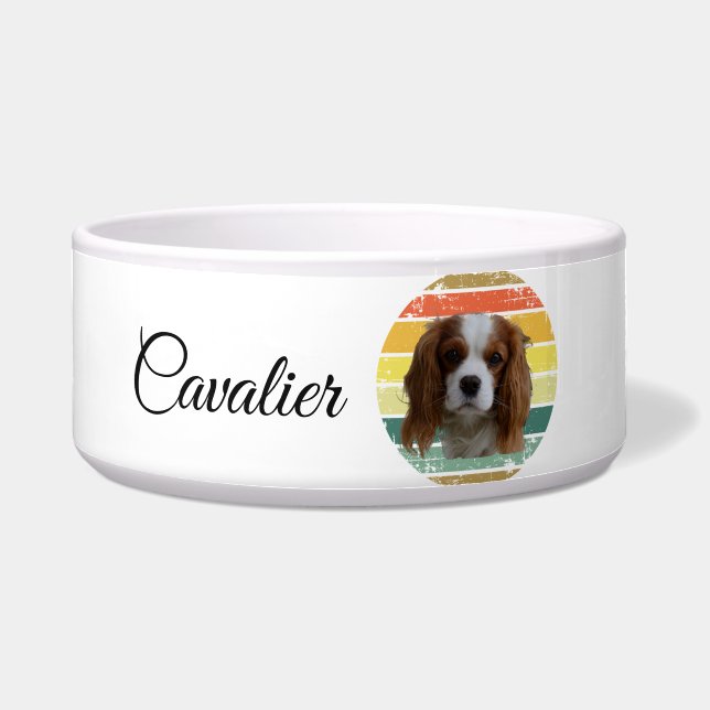 Retro 1980 Blenheim Cavalier King Charles Spaniel  (Front)
