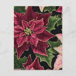 Retro 50s Poinsettia Burgundy Pink Postcard