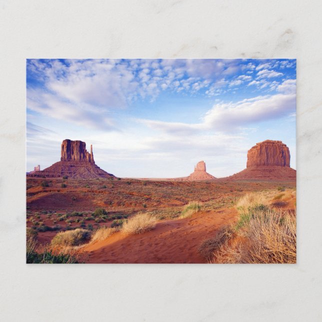 Retro American Scenery Postcard (Front)