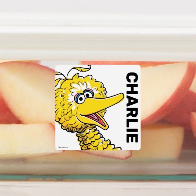Retro Art Big Bird (Affixed)