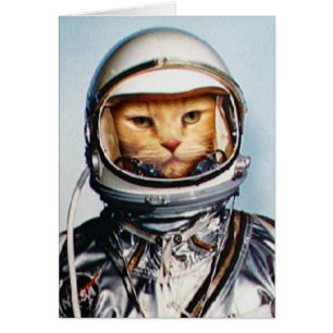 Retro Astronaut Cat