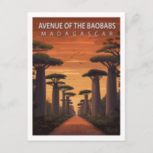 Retro Avenue of the Baobabs Madagascar Nature Postcard