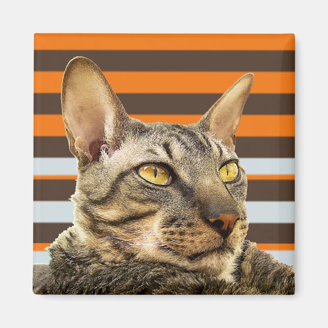 Retro Benson Magnet (Front)