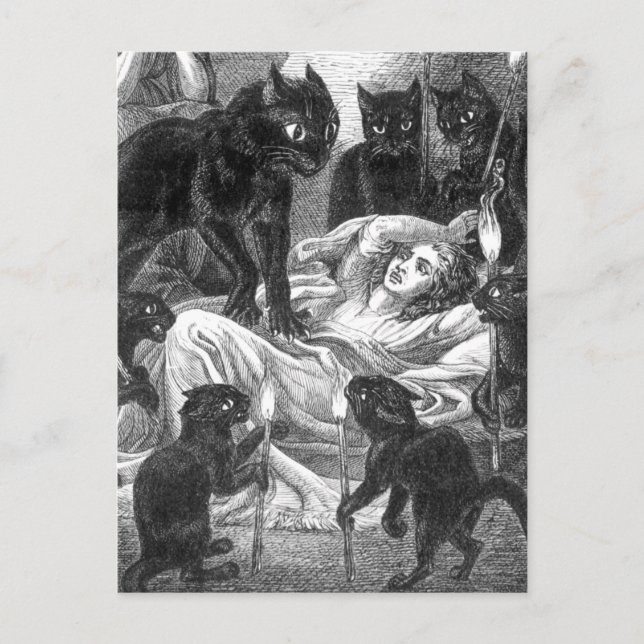 Retro black cat party drawing invitation postcard (Front)