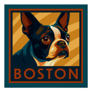 Retro Boston Terrier Portrait Poster