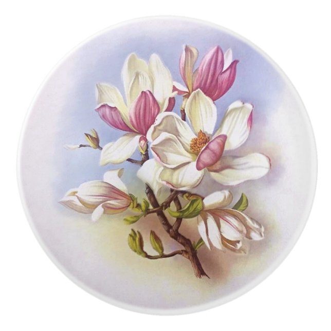 Rétro bouton de traction de tiroir d'impression (Devant)