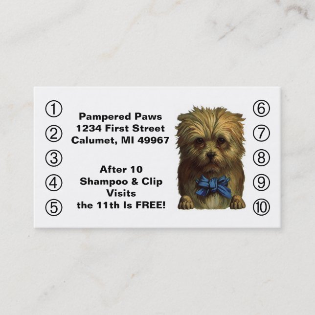 Retro Business Punch Cards Pet Puppy Dog Grooming (Front)