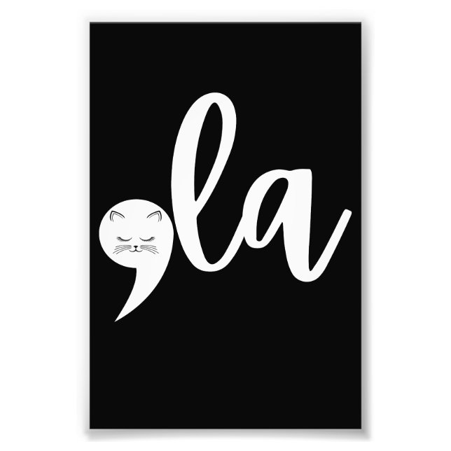 Retro Cat Comma La Kamala Harris 2024 Election  Photo Print (Front)