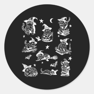 Retro Cat Witch Halloween Cat Pumpkin Salem Witch Classic Round Sticker