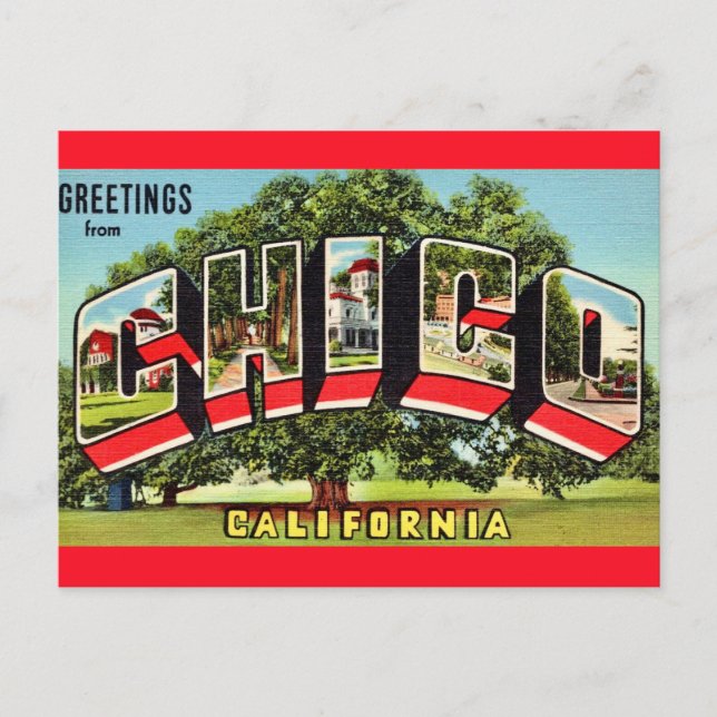 Retro Chico California Greeting  Postcard (Front)