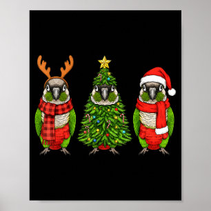 Retro Christmas Green Cheek Conure Parrot Santa Re Poster