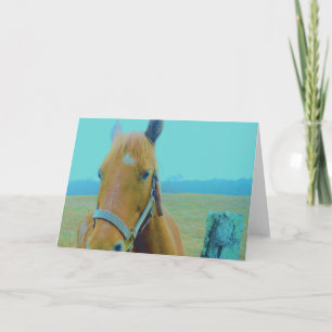 retro Christmas Horse Holiday Card