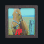 retro Christmas Horse Jewelry Box<br><div class="desc">Christmas Horse Christmas Horse Red bow Christmas Horse Stocking Photo by Sandy Closs , " Christmas Horse ",  "brown and white horse" ,  "western christmas" country"horse at christmas""christmas horse", christmas, ,  xmas horse,  horses teal pastel yellow blue red</div>