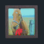 retro Christmas Horse Jewelry Box<br><div class="desc">Christmas Horse Christmas Horse Red bow Christmas Horse Stocking Photo by Sandy Closs , " Christmas Horse ", "brown and white horse" , "western christmas" country"horse at christmas""christmas horse", christmas, , xmas horse, horses teal pastel yellow blue red</div>