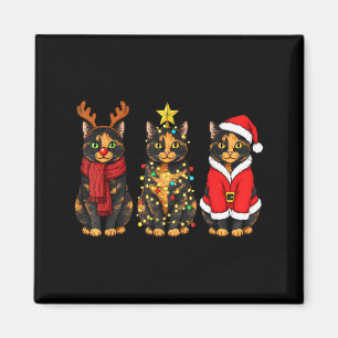 Retro Christmas Tortoiseshell Cat Santa Reindeer Magnet