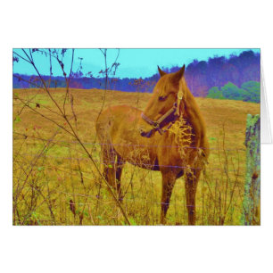 Retro Colored Horse