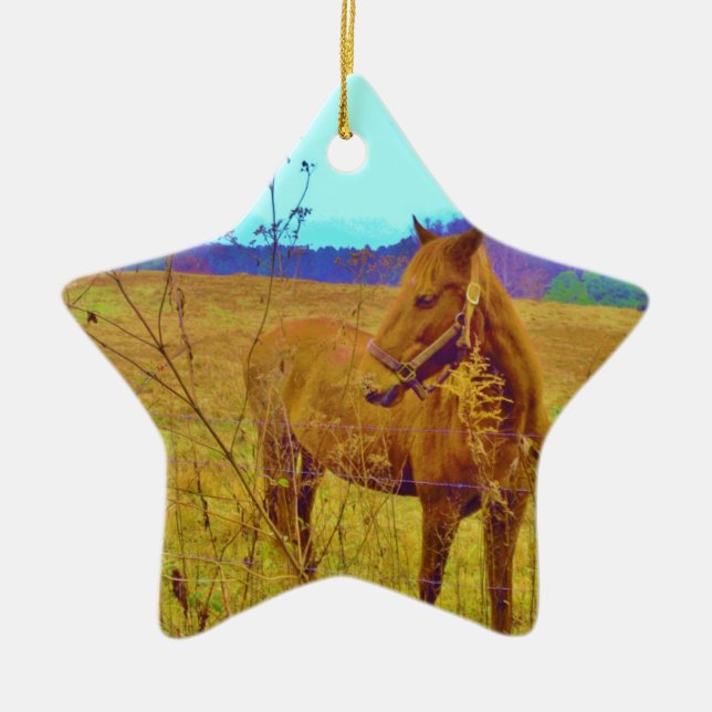 Retro Coloured Horse Ceramic Ornament (Front)