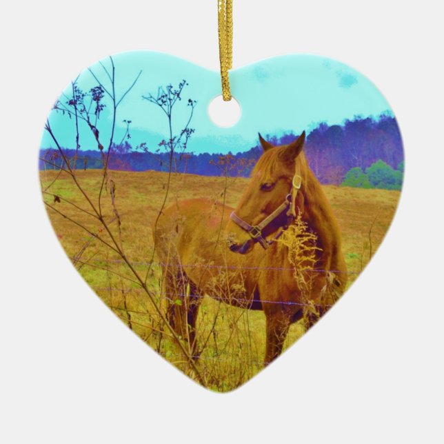 Retro Coloured Horse Ceramic Ornament (Front)