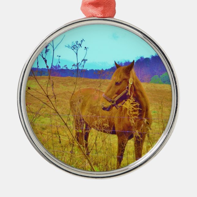 Retro Coloured Horse Metal Ornament (Front)