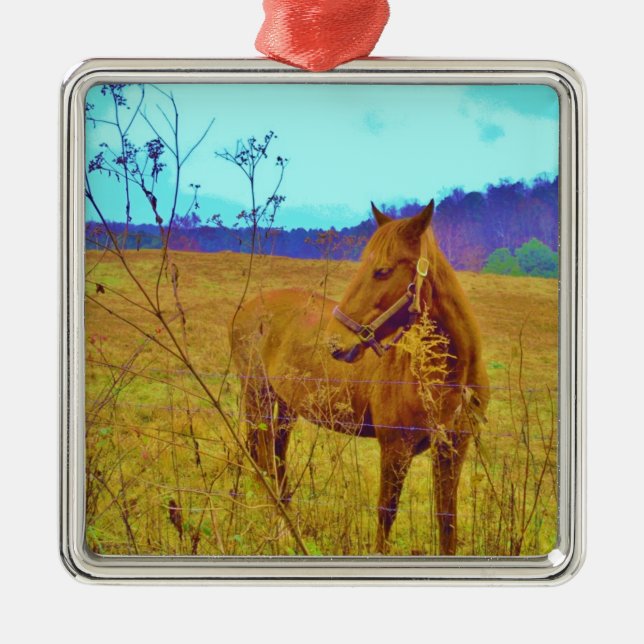 Retro Coloured Horse Metal Ornament (Front)