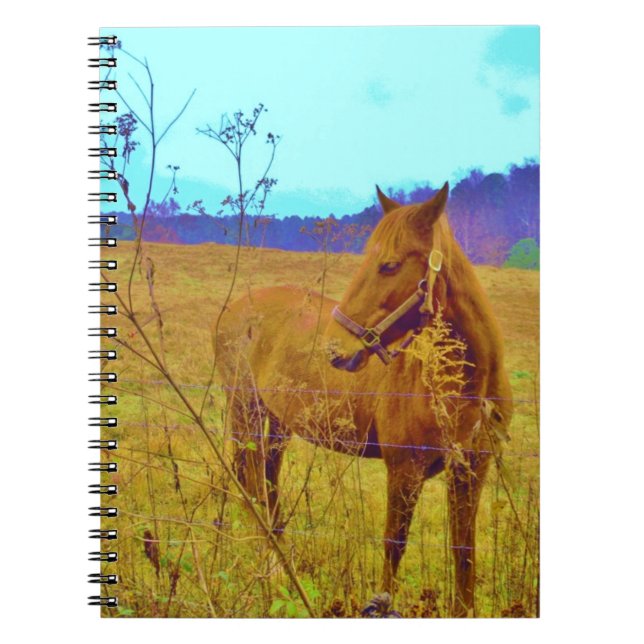 Retro Coloured Horse Notebook (Front)