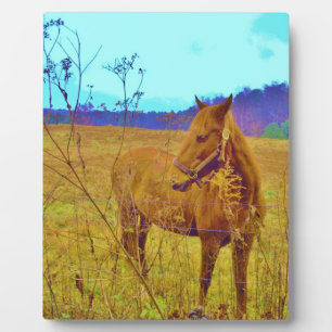 Retro Coloured Horse Plaque