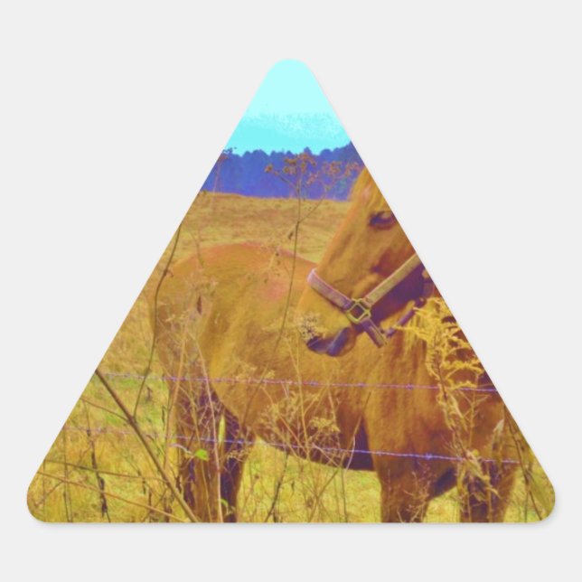 Retro Coloured Horse Triangle Sticker (Front)