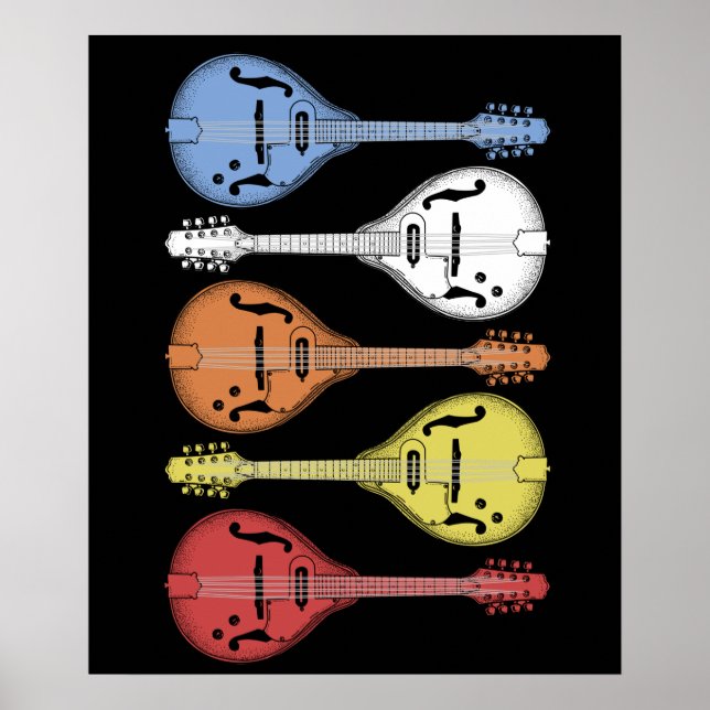 Retro Country Music Mandolin Vintage Bluegrass Poster (Front)