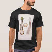 Retro edible and poisonous rude phallus mushroom