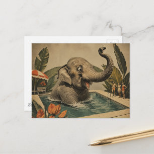 Retro Elephant in the pool Postcard