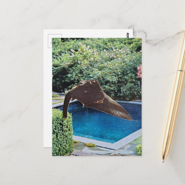 Retro Elephant in the pool sureal collage Postcard (Front/Back In Situ)