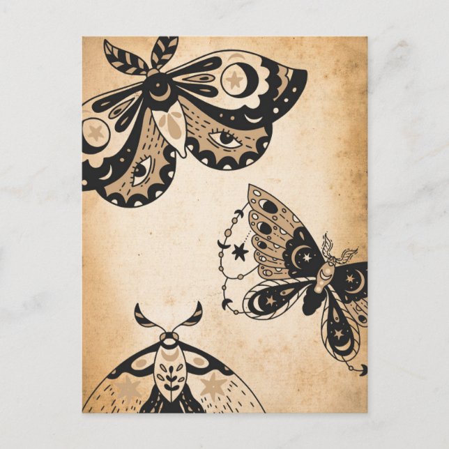 Retro faded black moths tan vintage parchment postcard (Front)