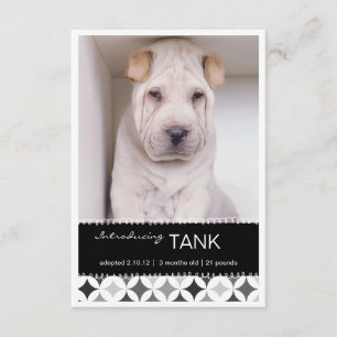 Rétro faire-part de photo des cercles B&W de