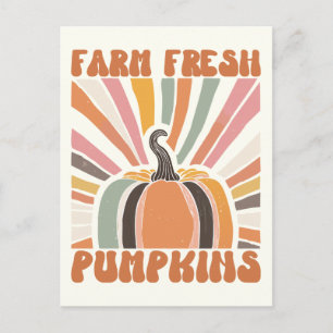 Retro Farm Fresh Pumpkins Postcard