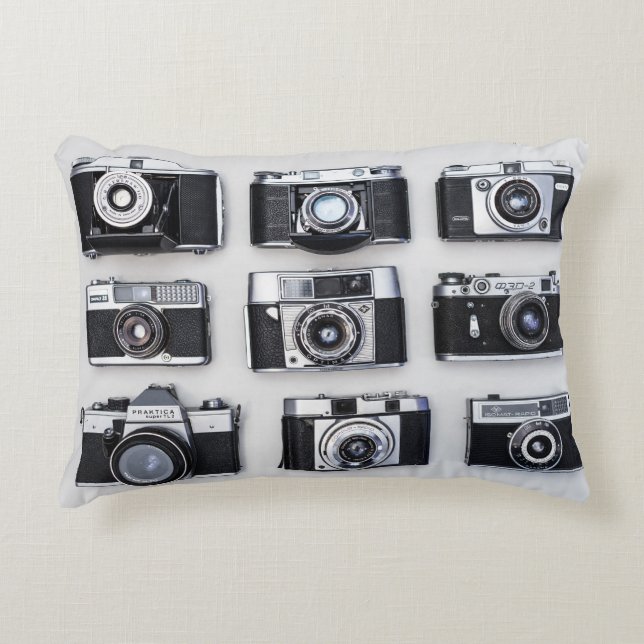 Retro Film Cameras Accent Pillow (Front)