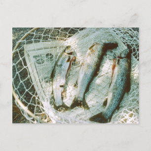 Retro Fishing Net and Trout Postcard