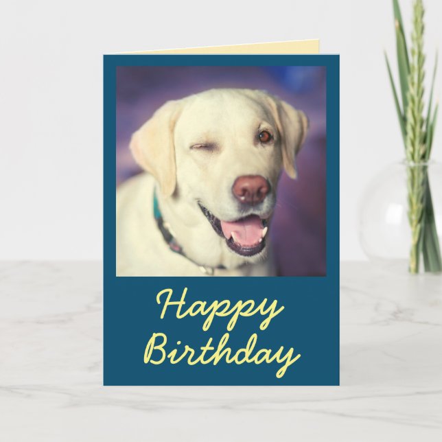 Retro Funny Chien et Bonne carte d'anniversaire (Devant)