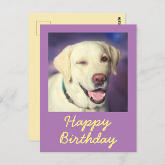 Retro Funny Dog and Happy Birthday Postcard