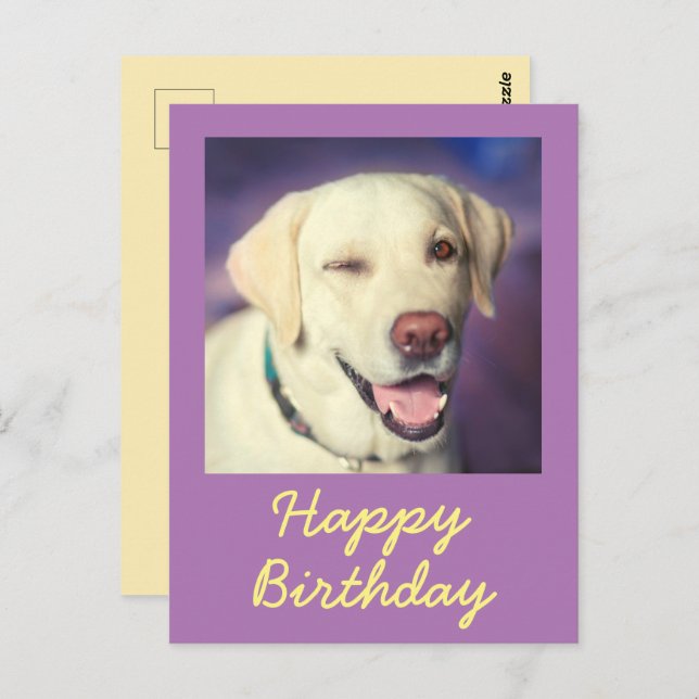 Retro Funny Dog and Happy Birthday Postcard (Front/Back)