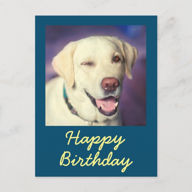 Retro Funny Dog and Happy Birthday Postcard (Front)