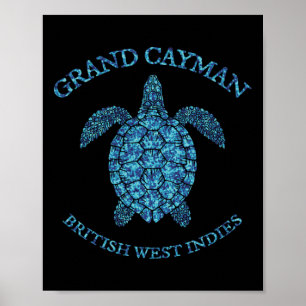 Retro Grand Cayman Islands Sea Turtle Graphic Vint Poster